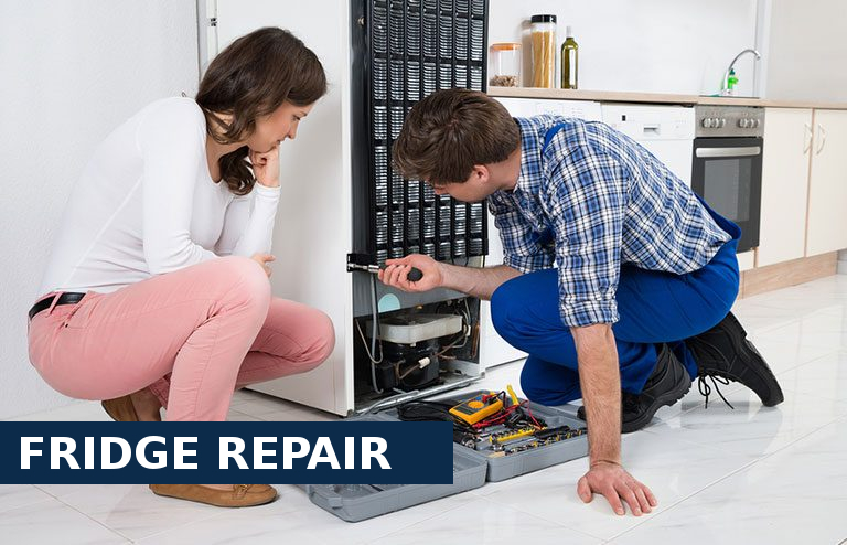 Fridge Repair Sutton